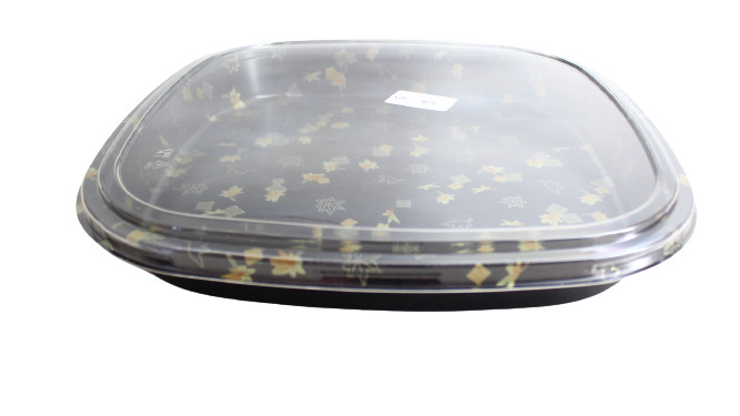 Disposable Box Square Container Square With Lid - Osbro Home