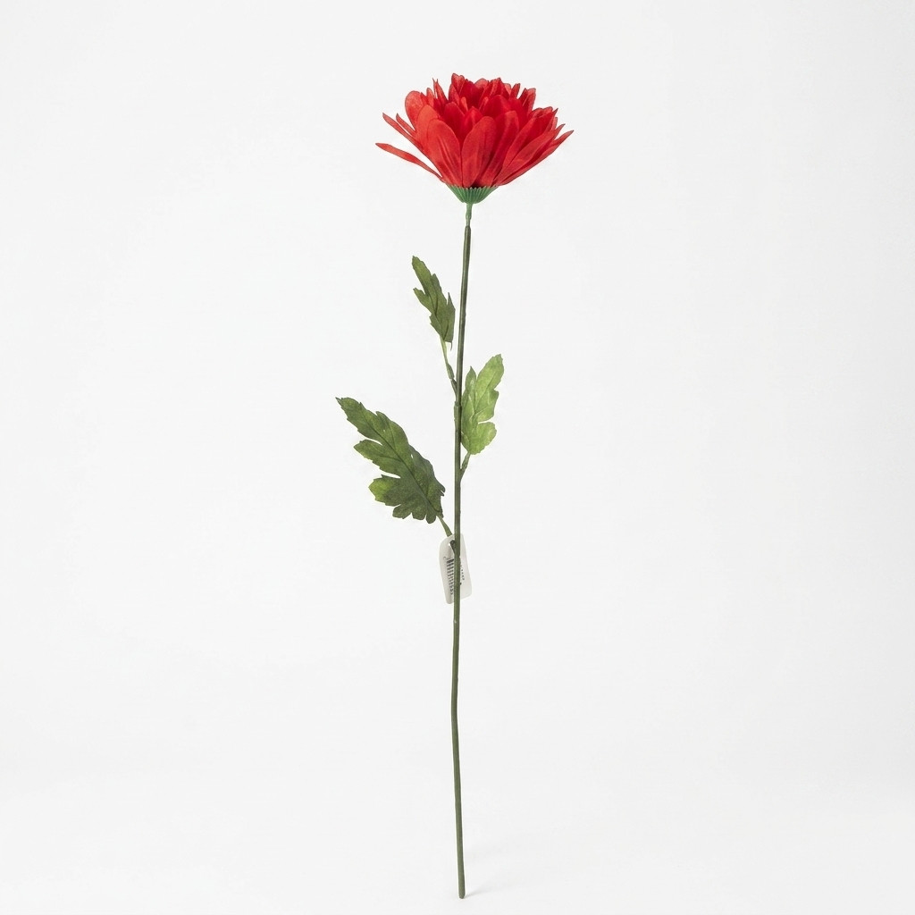 pomelli_photoshoot_image_1_1_0904-12.png